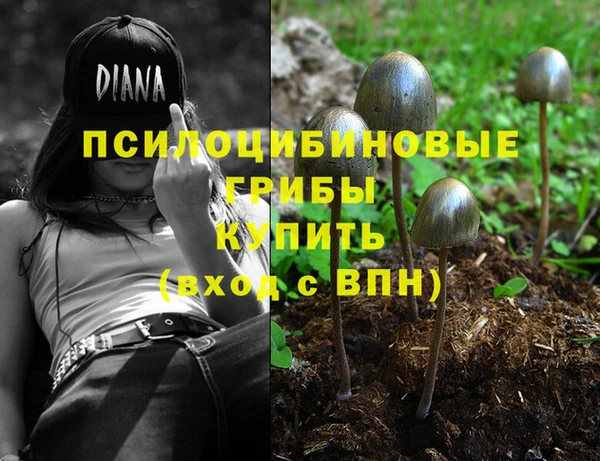 jwh Дмитриев