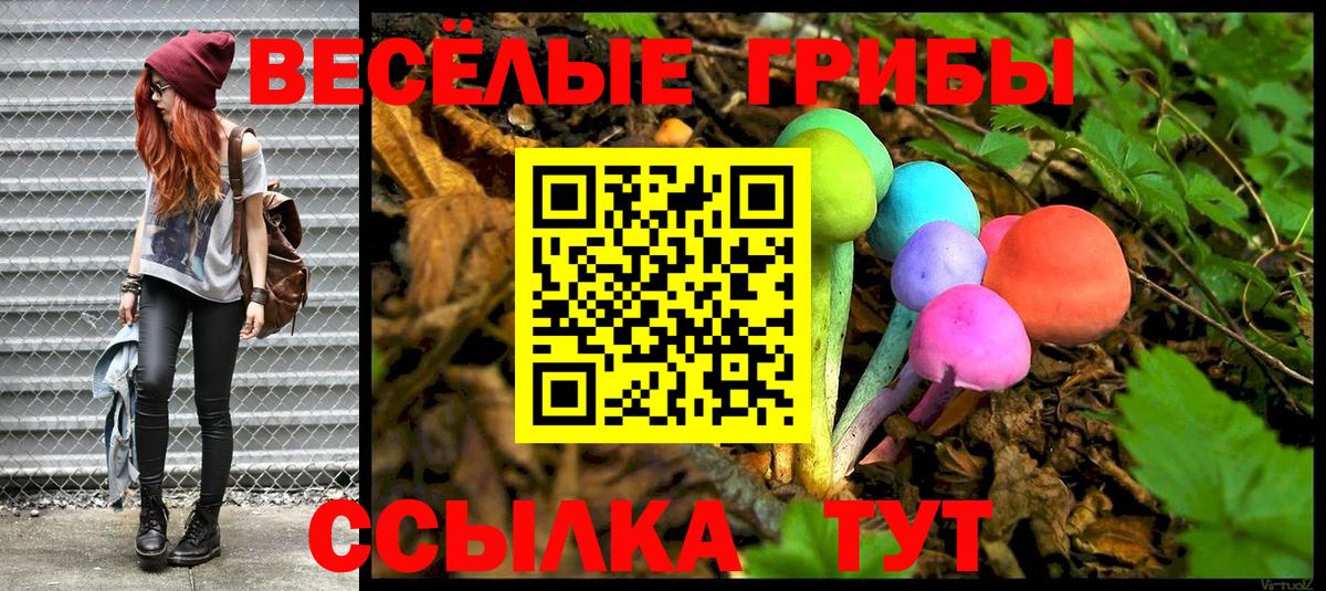 Галлюциногенные грибы Magic Shrooms  Вход с VPN  Заречный 