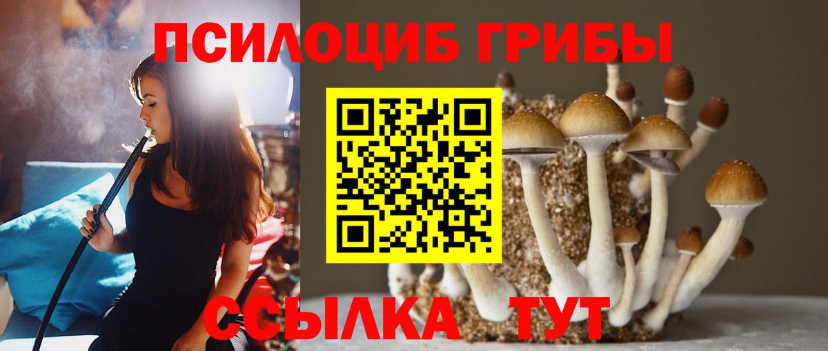 Галлюциногенные грибы Psilocybine cubensis Заречный